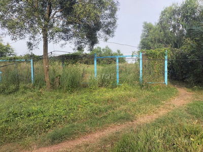 BÁN ĐẤT NÔNG NGHIỆP HIỆP PHƯỚC NHÀ BÈ