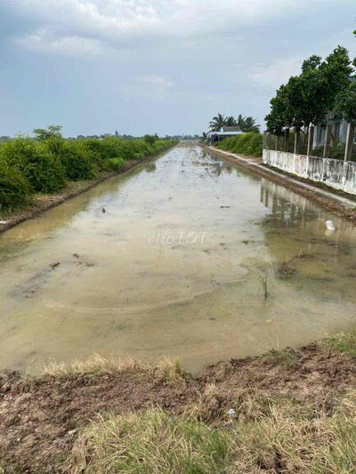 Bán đất gò công đông ấp bến chợ