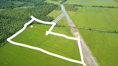 CẦN BÁN GẤP 11.000m² – XÃ TIỂU CẦN, VĨNH LONG