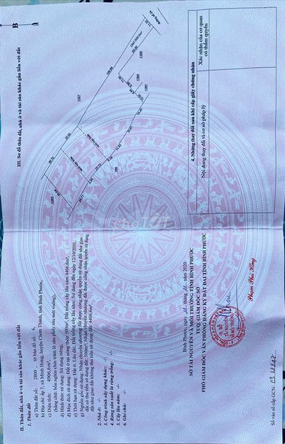 Đất thổ cư + Cây lâu năm 4905 m2 TX Chơn Thành