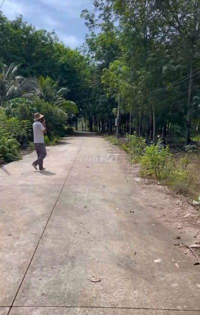 Bán gấp nhanh lô đất trường tiểu học Tân Hiệp 338m2 100m2 thổ cư 530tr