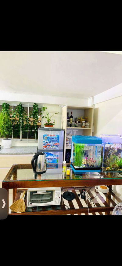 Em gái làm công ty có căn nhà Decor :  545 triệu, toàn quốc mua được