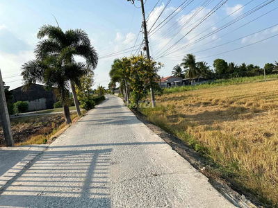 350tr/500m2 Vườn Sổ Sẵn. gần bên Phà Long Sơn. có nền sẵn