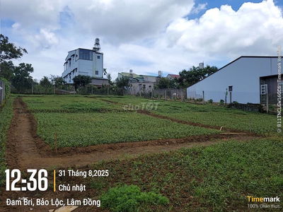 Hơn 700m2 sẵn thổ cư View đẹp ngay Lý Thái Tổ_ P2 giá đầu tư