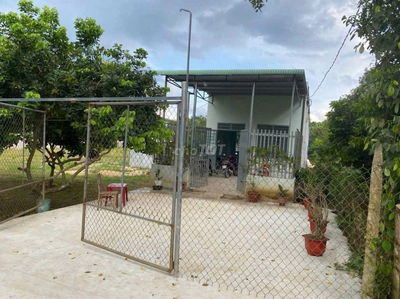 Bán gấp vườn nhà 1000m2 giá 350 triệu