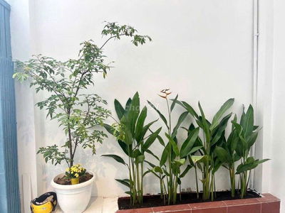 ĐỖ CÔNG TƯỜNG - 4X10 - CHỈ 3,X TỶ - NHÀ MỚI ĐẸP VÀO Ở NGAY