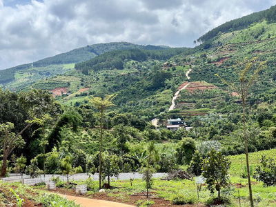 Bán gấp lô đất ven Đà Lạt, giá chỉ 650 triệu, cách đường nhựa 800m
