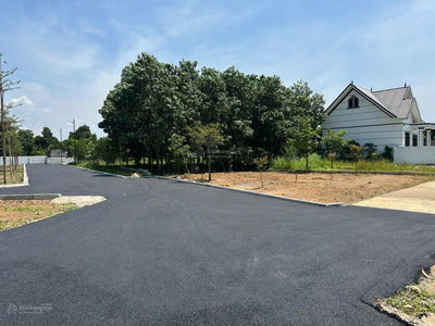 Bán đất Cổ Đông, Sơn Tây 95.1m², MT 4.4m, đường nhựa ô tô vào tận nơi, giá đầu tư F0