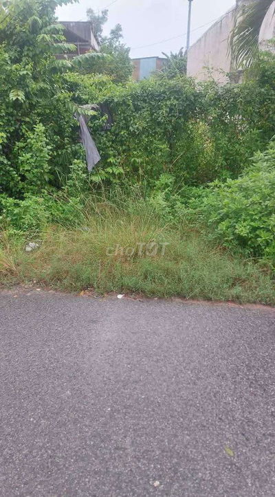 Đất Tân Định khu 1 ngay chợ Hoàng Gia nhựa 6m thông.5x50 thổ cư 63m.