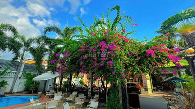 SANG NHƯỢNG MẶT BẰNG VĂN PHÒNG - THẢO ĐIỀN