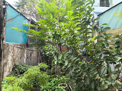 Lô đất đẹp mặt tiền Tân Hiệp 11 , HM 105m2 .Giá rẻ chỉ  3.59 tỷ (TL)