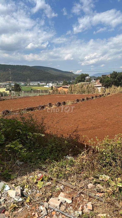 Bán đất Suối Thông B cách Đà Lạt 30km khu dân cư