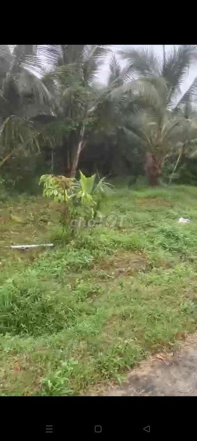 Bán đất mặt tiền tại Bến Tre, giá 1,3 tỷ