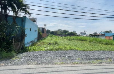 Gia đình đi cự bán  nhanh miếng đất 165m2 Tân Thông Hội, Củ Chi , SHR