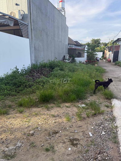 Đất Khu Bàn cờ Phường Bảo Vinh TP Long Khánh