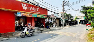 Chủ Bán Đất Tặng Nhà 4 PN - Hẻm Xe Hơi - THỦ ĐỨC - 5,1m×20m - 6.x Tỏi.