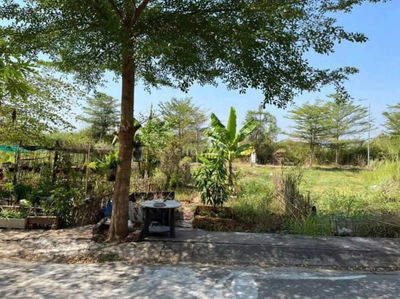 BÁN ĐẤT KDC VEN SÔNG NGUYỄN BÌNH, 6X14M, XÂY TỰ DO