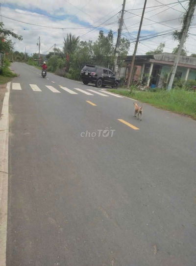 Đất Đức Hoà Long An