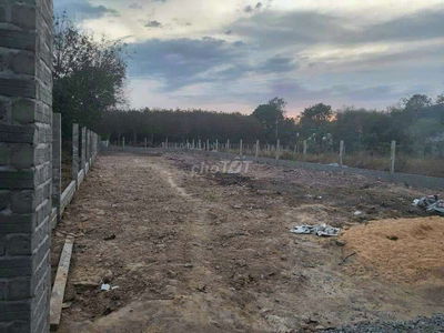 Chủ bán đất gần trường tiểu học Lai Hưng B ( Bến Tượng Bầu Bàng