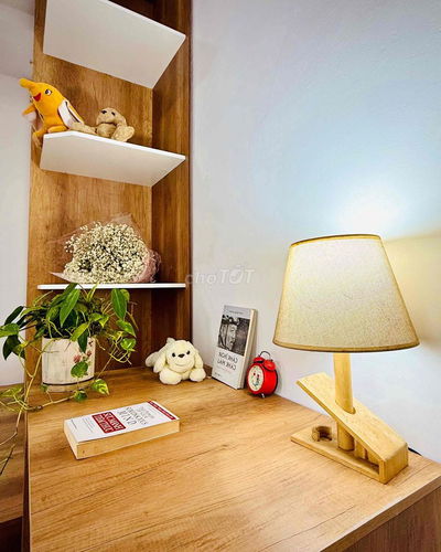 Chính chủ- CHDV 100% mới đẹp- Bàu Cát 5-Tân Bình-ngay chợ, công viên