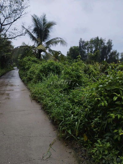 MẶT TIỀN ĐƯỜNG SỐ 9  TRƯỜNG THẠNH Q9 THỦ ĐỨC 5000M2 ,GIÁ 15,5 TR /M2