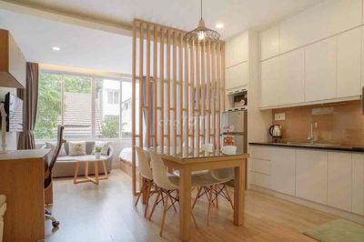 khai trương căn hộ mini free phí chỉ tính điện - gần đầm sen giáp q11