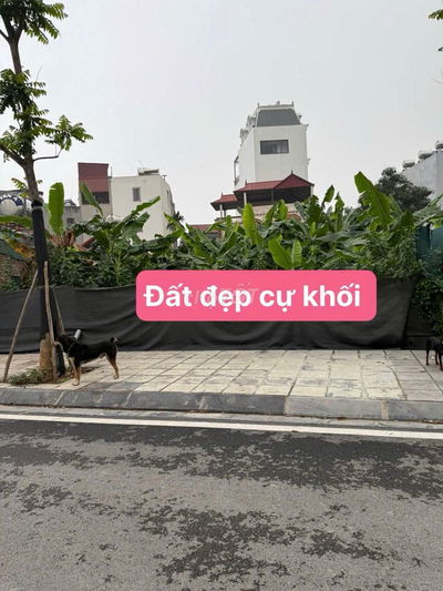 CẦN BÁN ĐẤT CỰ KHỐI LONG BIÊN HÀ NỘI.