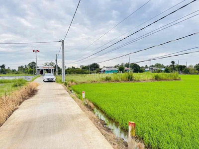 Thổ cư Tân Trụ, đường xe hơi rộng rãi, dân đông, sát nhựa