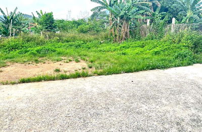 Đất rộng xây nhà vườn 3500m2 có 129m2 đất ở ngang rộng 35m.