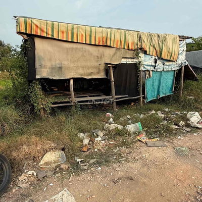 Bán nền đất 5x29m tặng chồi giữ vườn, thuận tiện mua để dành sau này