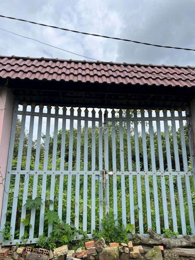 Bán nhà vườn 1000m 1 sẹc Hà Duy Phiên có vườn trái cây xã Bình Mỹ