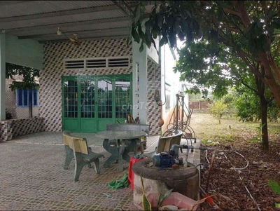 Bán nhà vườn 365đ sổ riêng