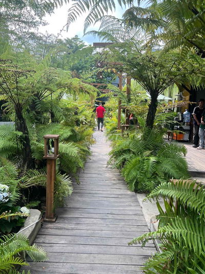 Sang Quán Cà Phê Sân Vườn Gò Vấp