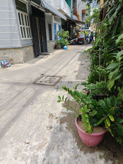 Cho thuê nhà nguyên căn hẻm xe hơi