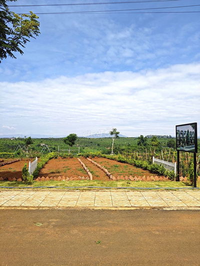 CHỦ GỬI BÁN GẤP LÔ ĐẤT MẶT TIỀN ĐƯỜNG NHỰA ‘GIÁ HỜI’  – GẦN BẢO LỘC!