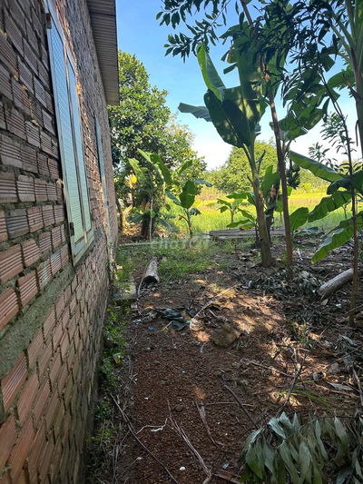 CHÍNH CHỦ BÁN 4543 m đất , có 200m thổ cư tỉnh bình phước