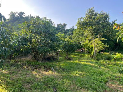 Cần tìm chủ mới bán lô vườn tại Vĩnh Lương, Nha Trang, Khánh Hòa, giá cực chất chỉ 3 tỷ