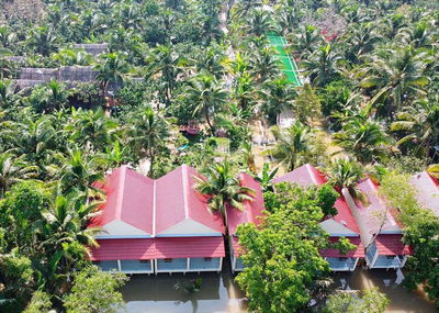 Nhà đất Bến Tre TDT 12000m2 giá 45 tỷ