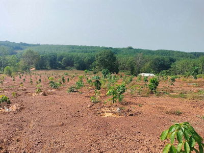 CHÍNH CHỦ BÁN MẢNH ĐẤT ĐẸP TẠI XÃ TÂN THÀNH, TP ĐỒNG XOÀI, BÌNH PHƯỚC