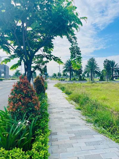 🔥1.35 TỶ SỞ HỮU LÔ GÓC 100M2 - MẶT TIỀN ĐT.824 - BẾN LỨC 🔥