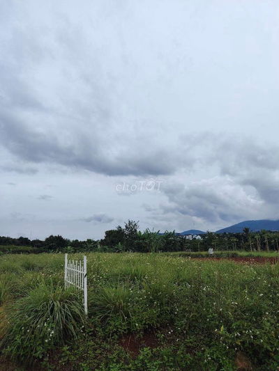 Đất trong khu dân cư cách nhựa 500m