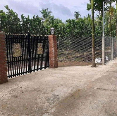 Trước vk ck em cho thuê 1năm 40 triệu bây giờ miếng đất để không nhìn