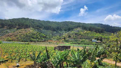 Chủ gửi bán lô đất Lâm Hà, Lâm Đồng giá chỉ 650tr