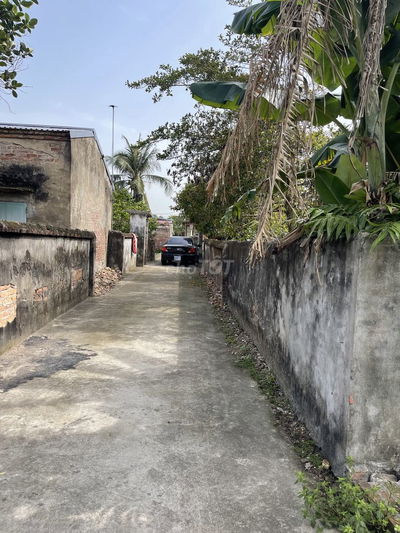 Bán đất thích hợp xây nhà vườn