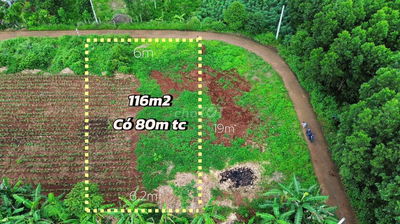 Đất 6x18m xã Kim Long, TP.HCM có 80m² thổ cư, sổ riêng, giá chỉ 599Tr