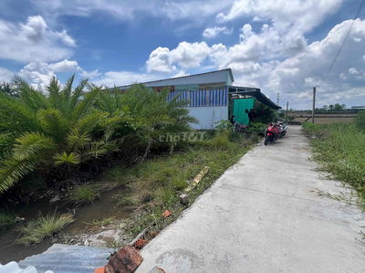 226m2 thổ cư - Cách ngã ba An Lái ko xa - Nền sẵn, sổ sẵn