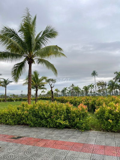 RẺ NHẤT THỊ TRƯỜNG KHU ĐẦM SEN - NAM HOÀ XUÂN