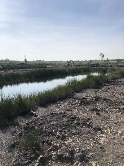 Bán đất nông nghiệp