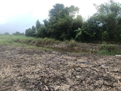 cho thuê đất làm home quán ăn sân vườn