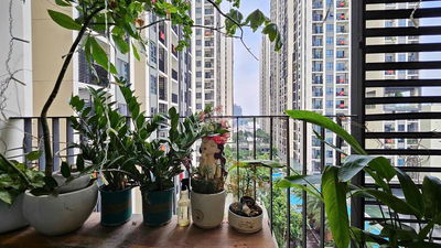 Cho Thuê gấp căn 2PN - 2Wc Full nội thất giá 21tr *** thị trường